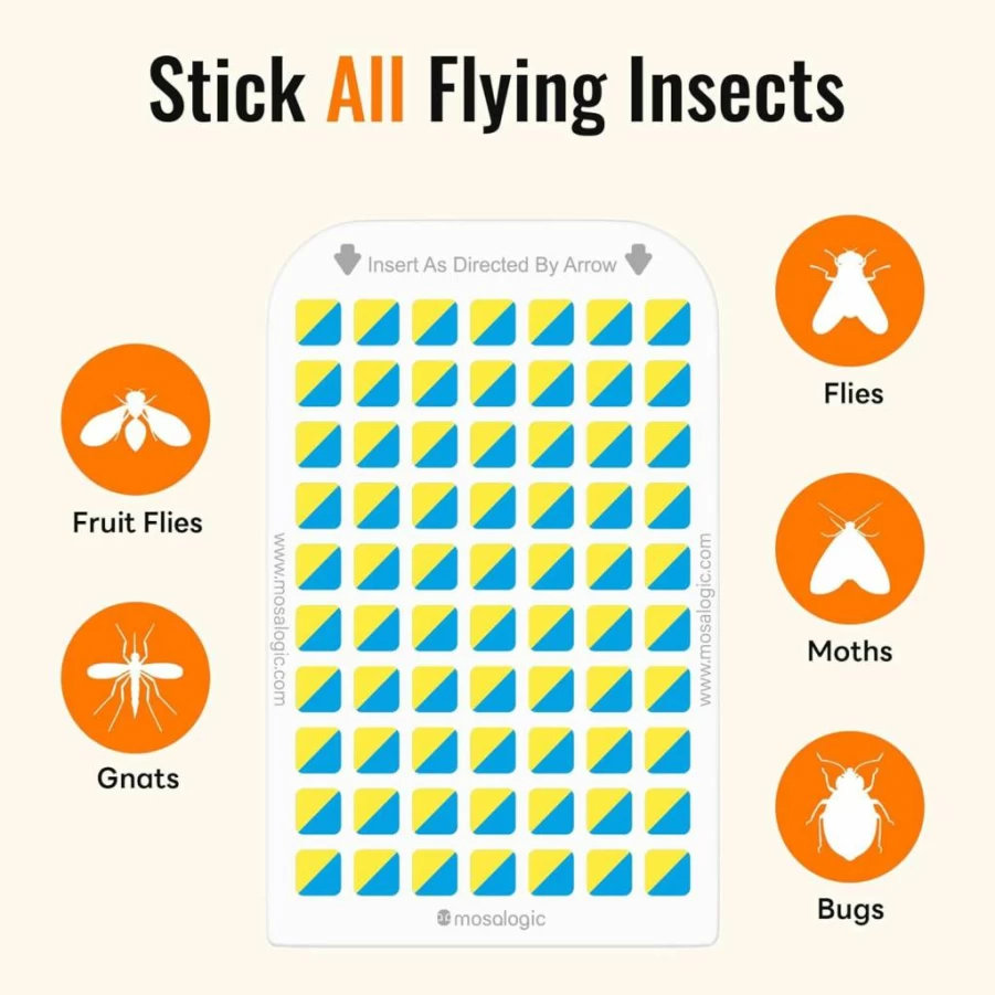 Mosalogic Indoor Fruit Fly Trap - 2 Pack UV Gnat, Mosquito & Flying Insect Killer for Home, 600 Sqft Coverage, Plug-In Bug Zapper for Houseplants & Kitchens