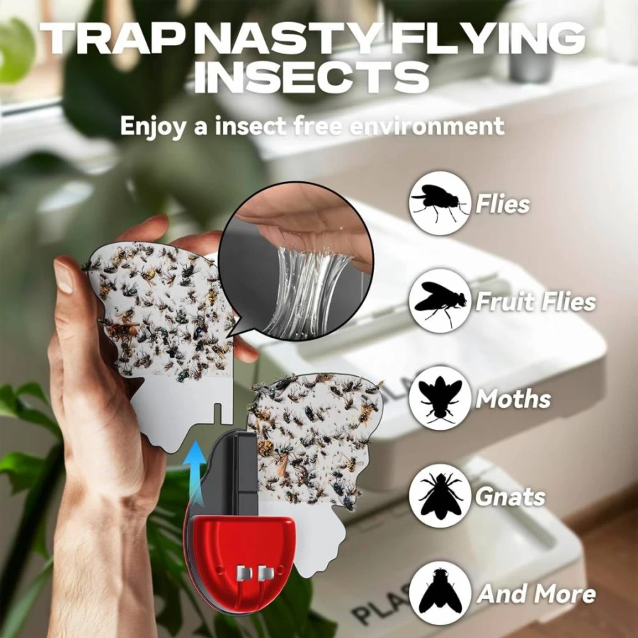 ILCPP Indoor Flying Insect Trap - Plug-In Light Fly Trap for Flies, Mosquitoes, Gnats, Moths & Fruit Flies with 3 Refill Packs (1 Device Included)