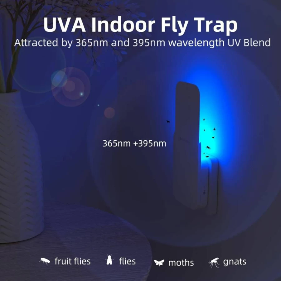Mosalogic Plug-In Fruit Fly Trap with UV Light - Indoor Gnat, Moth, and Flying Insect Catcher for Home & Office - White (1 Pack)
